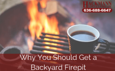 Why You Should Get A Backyard Fire Pit
