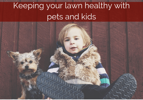 keeping lawn healthy pets and kids